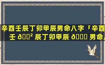 辛酉壬辰丁卯甲辰男命八字「辛酉壬 🌲 辰丁卯甲辰 🐛 男命八字详解」